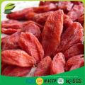 where to buy goji berry wolfberry